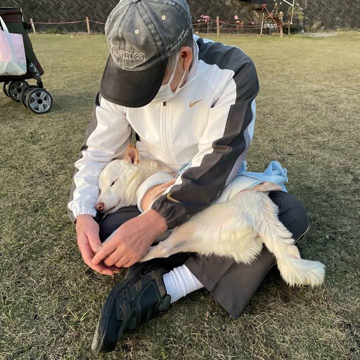 717186dd 5fd8 46fa 9b80 5f8a657f454c 1669896664317