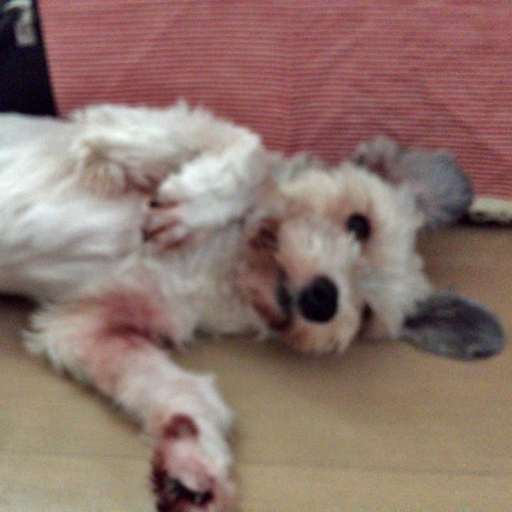 717188cd 6852 4ece 9d1e a4e101487737 1532248435074