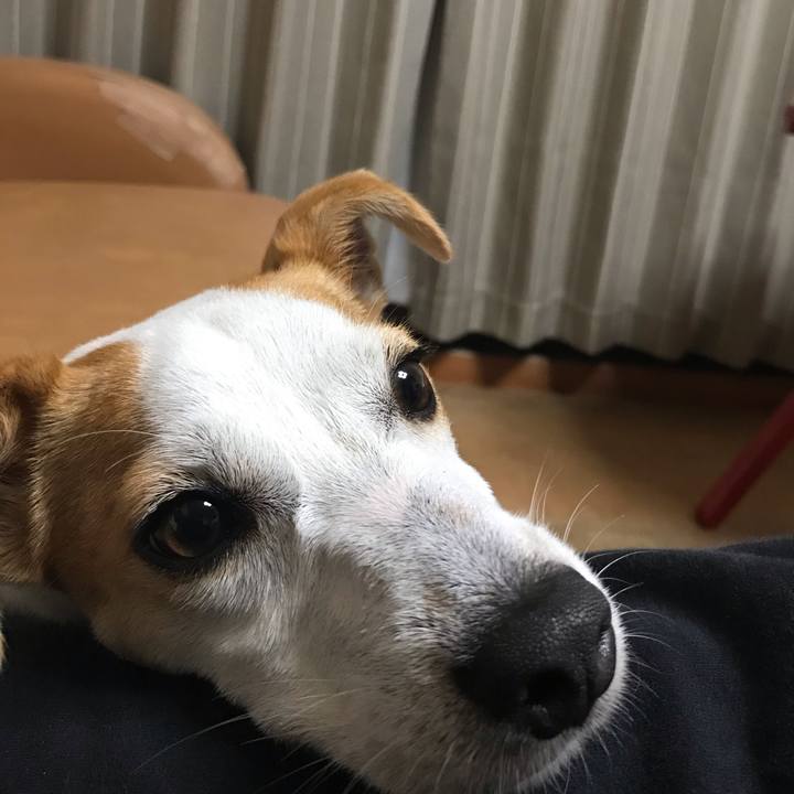 71718c3d 3eea 49d7 a5e2 1ba552a2a42e 1592828313859