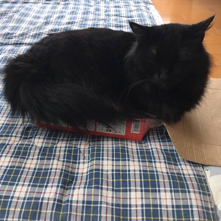 71718f76 c591 4eda a610 c52bb1a7ba66 1513758967798