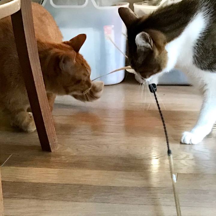 7171b6a8 2e07 4cfb be45 935e090492b9 1514187106161