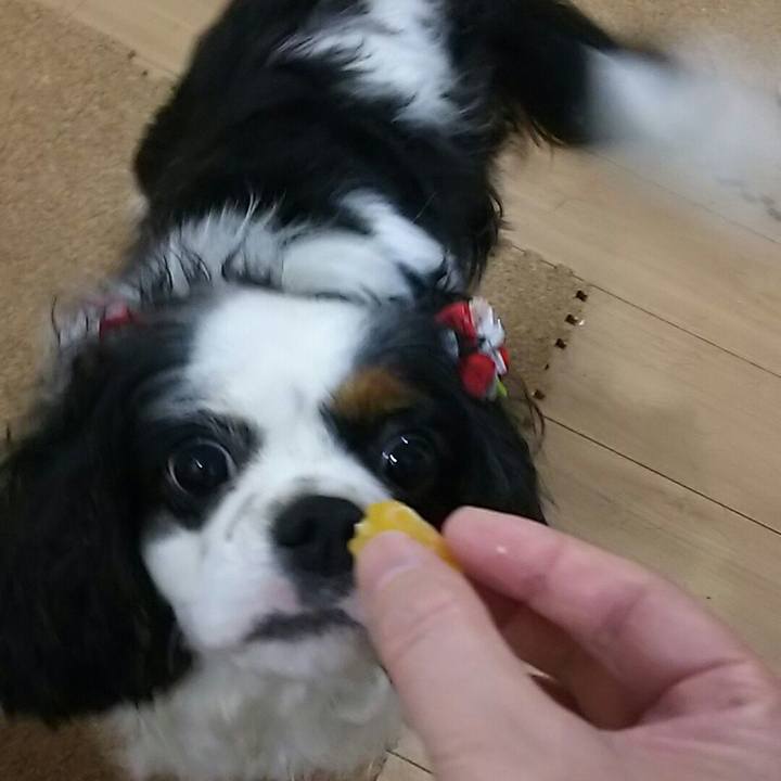 7171cd9d 1e6a 4b10 a320 7bb1f88fc973 1538314403408