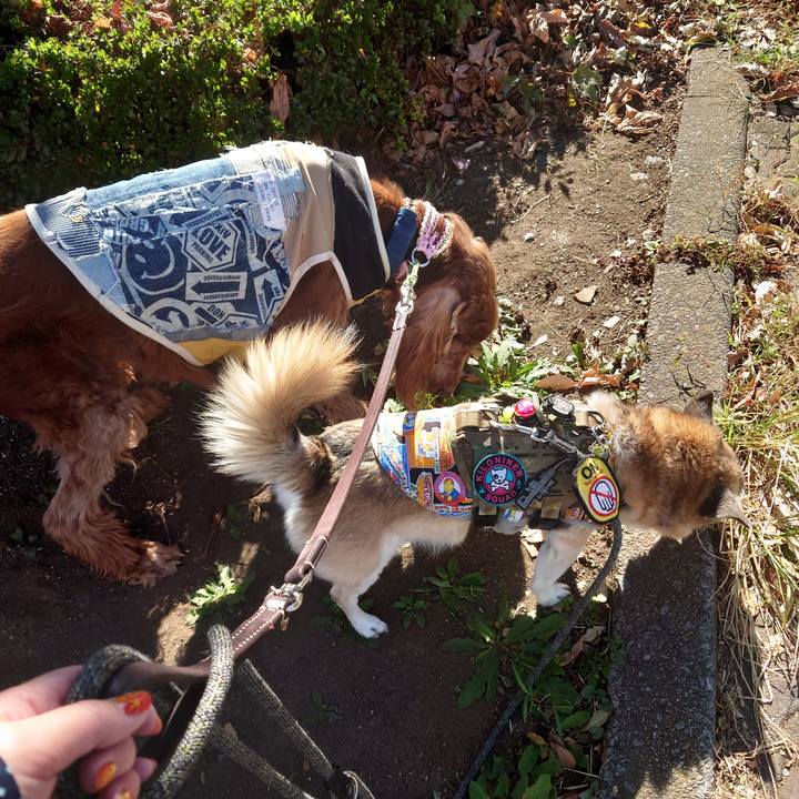 7171fa01 9213 4771 a255 5eaeecaf66de 1700138237444