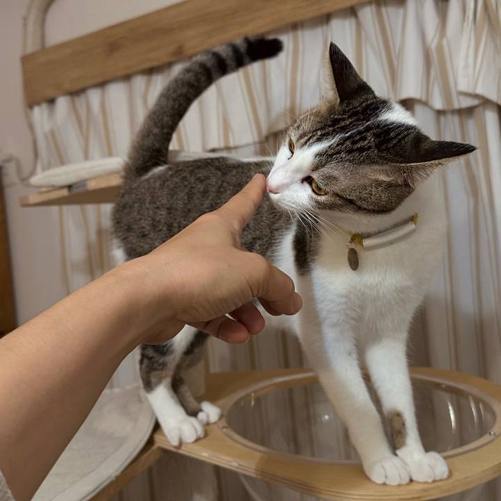 71721b60 7ba9 46ce bb2c 06adae8d9a04 1762521457181