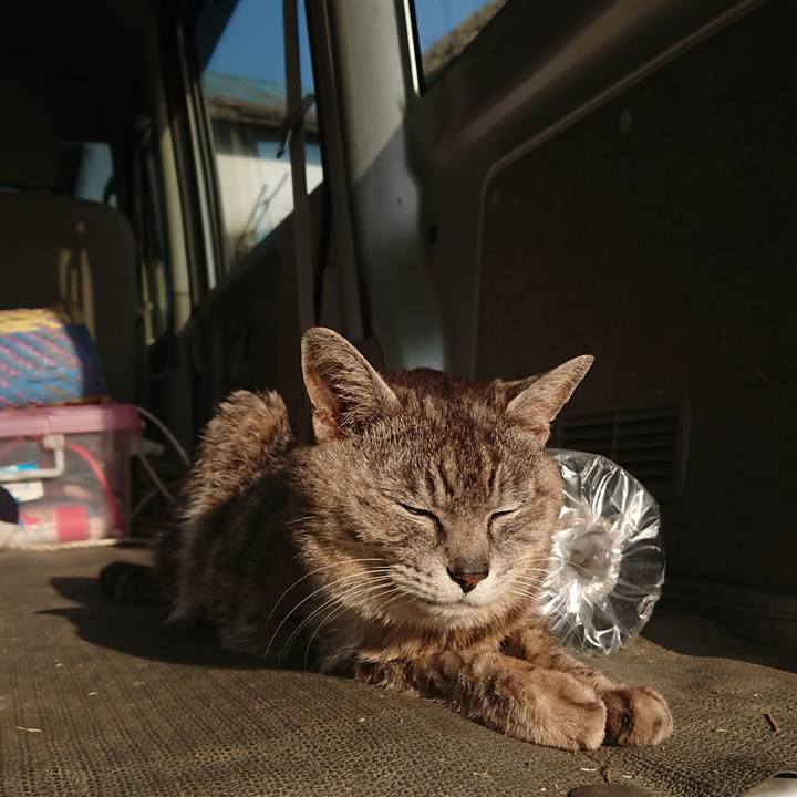 71722c69 d71a 449d be6f 404f8263458f 1591737748653