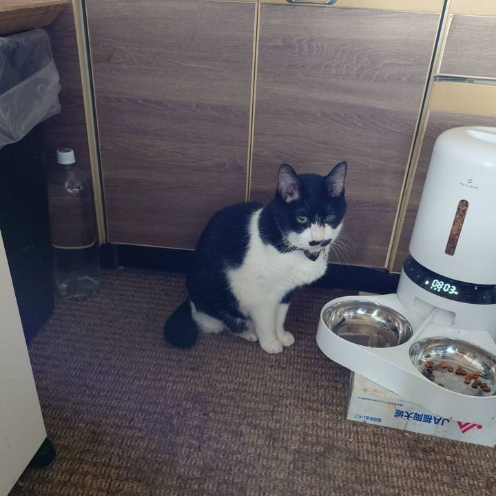 717236e1 9c81 441b a2ac 82881778e9ea 1759100358963