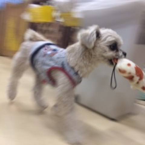 7172736c 456f 4352 9b5e 7e5b55e09563 1516015105782