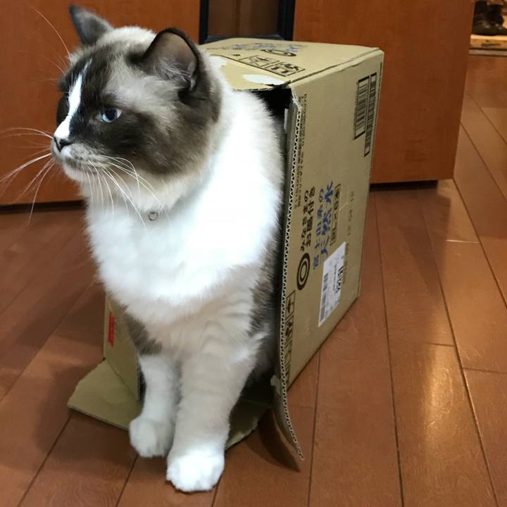 717277ae a572 49b8 909a 0b4868d1eb71 1509319700081