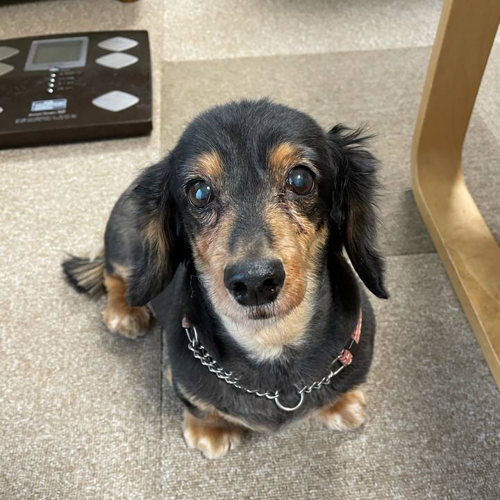 7172790f da7f 44d1 9126 2e72d8775b7b 1614390567427