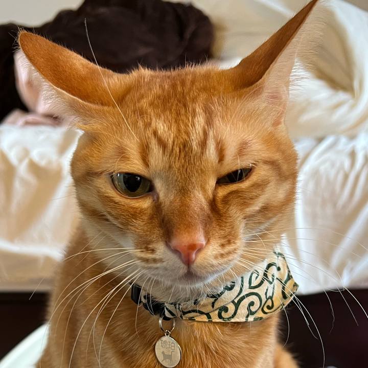 7172874f 75db 4837 9f42 8329631bd8d3 1674350247612