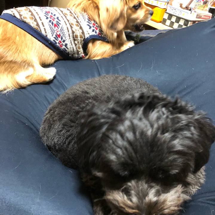 7172a27c 2633 4e7e 864b 48a38ee744b4 1518269265462