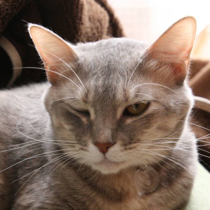 7172bf56 ded9 489b bc0f a2f1e81c50b8 1518953943278