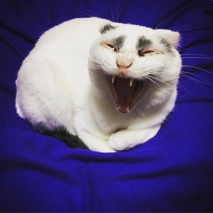 7172d560 1915 44ff b13c c60dfba580d7 1524973413253