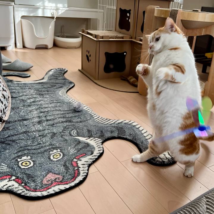 7172e8dd b758 4d11 bf1a f1058370f20b 1765940633168