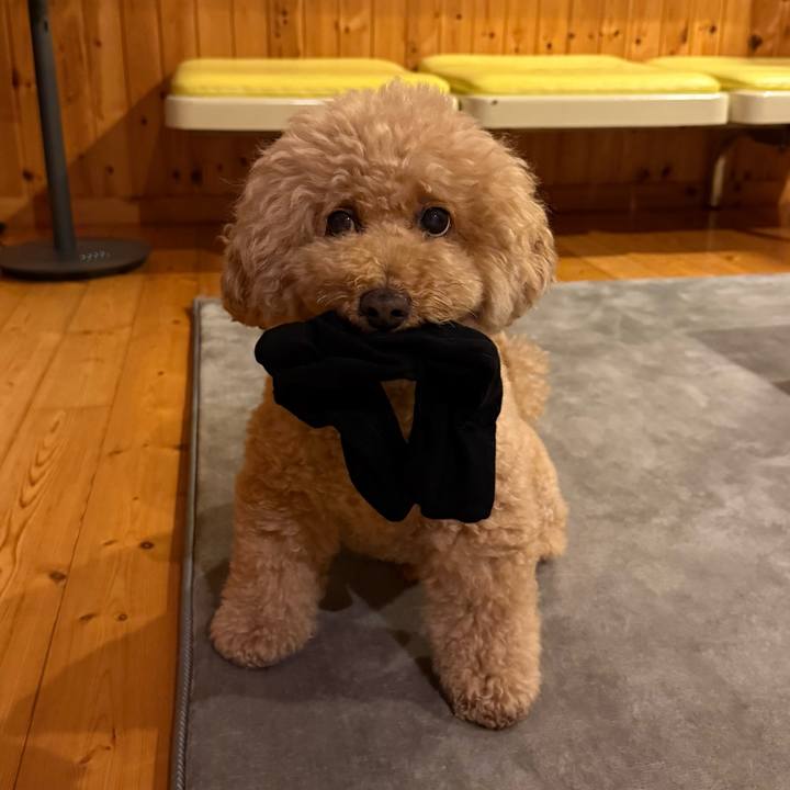 7172e8f3 886a 4102 8de2 6fd9d6ed8267 1760702044287