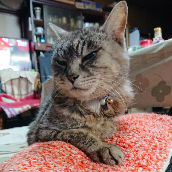 7172f334 16fe 4bbc baa3 9b2087de66ab 1581371242115