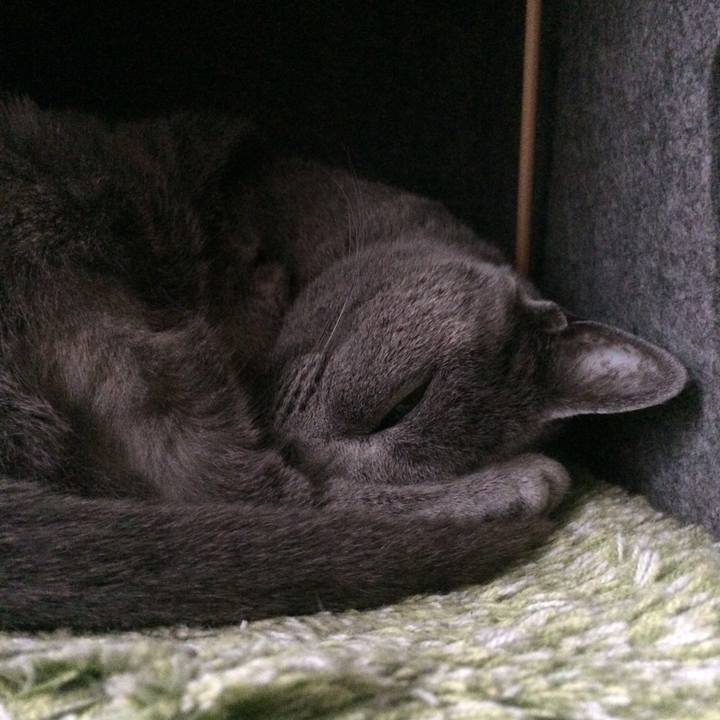 71731171 aa93 4681 bc97 019f5831b3c2 1520461759671