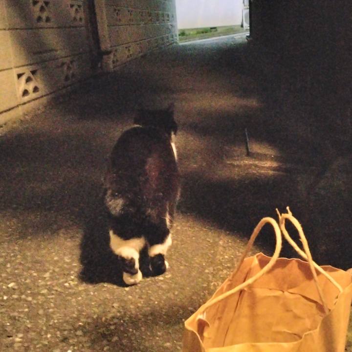 7173194e b2da 433b 90fa 7b92f24d81a7 1703498383428