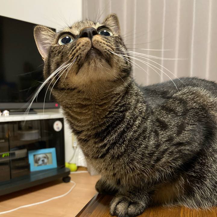 71733d31 84d0 4da4 a1a0 fa92723db5bb 1663156371805