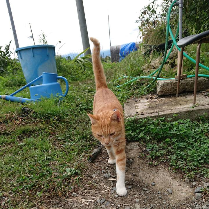 717389f6 290d 489a a5f7 1ae45bc19869 1569203353170