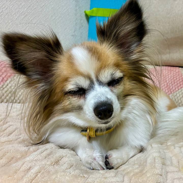 7173a91d c04a 49c8 95c3 9520752e8a4d 1767025167720