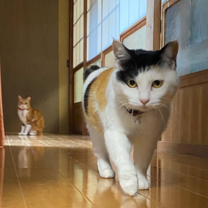 7173b949 b3e4 4973 bbd4 5c908f0e385b 1651496833765