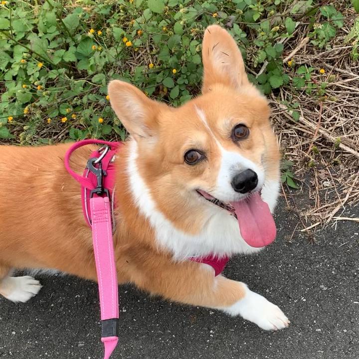 7173d2b5 9a2b 43be 84a2 07808e00aa63 1637208661305