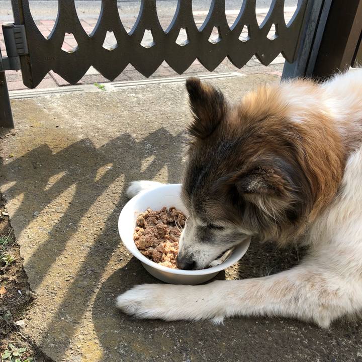 7173d3ff 24f2 4a49 9e25 ec5e43363b35 1519776778785