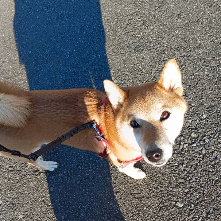 71740f02 6449 4dd0 9819 c7dddbf026ae 1739146120956