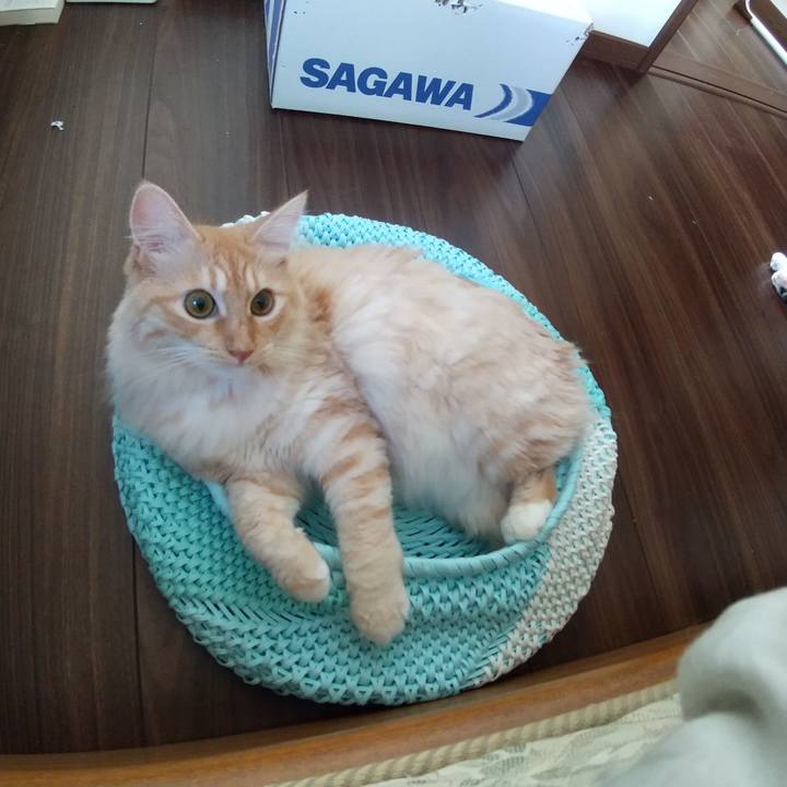 71742cf3 761b 4ef0 b5e9 9aeca67da10f 1626568223725