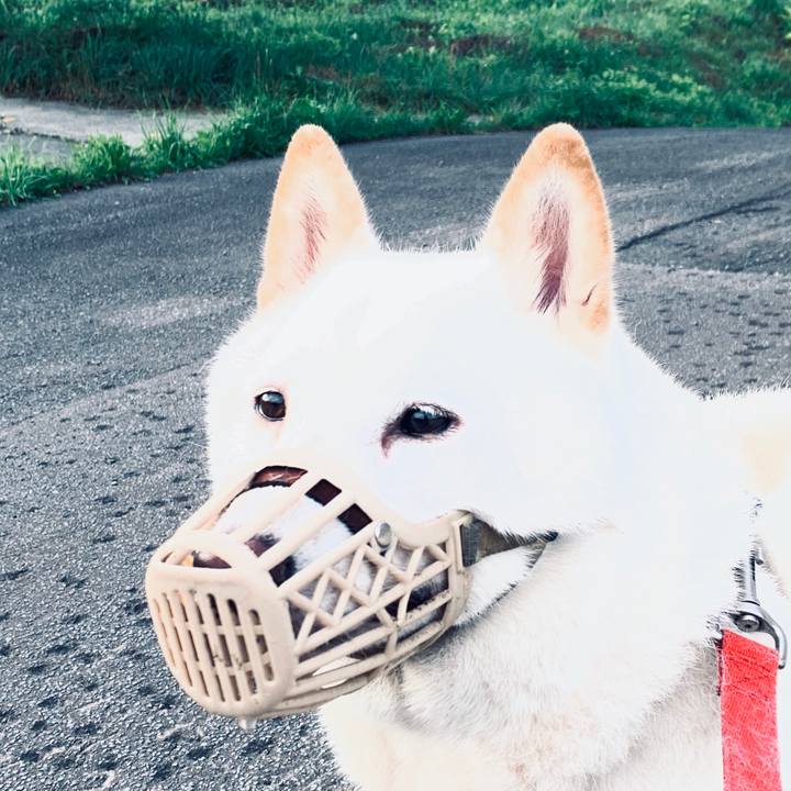 7174ae9f 9177 4386 987c 84b849f0d8a4 1598045143861