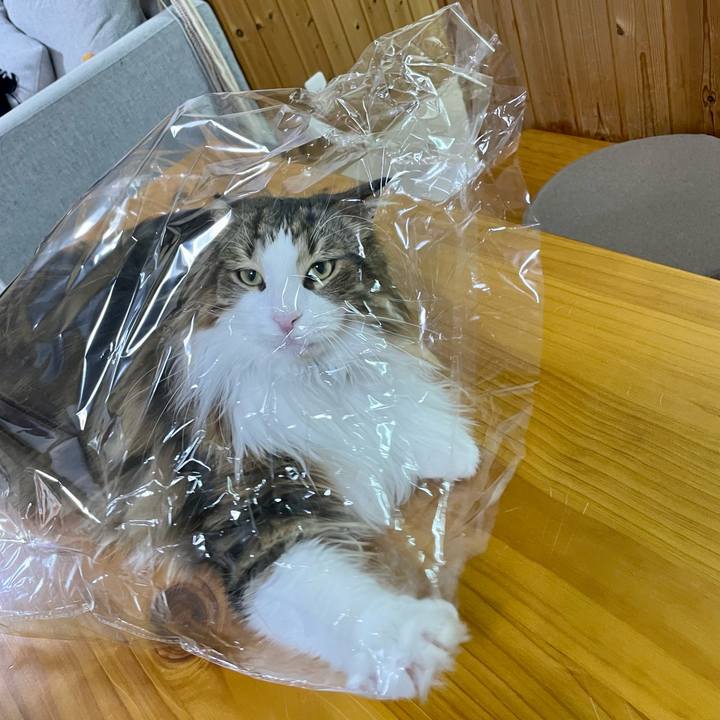 7174e251 a69c 4119 a15d 4879c8d585ae 1674040879369