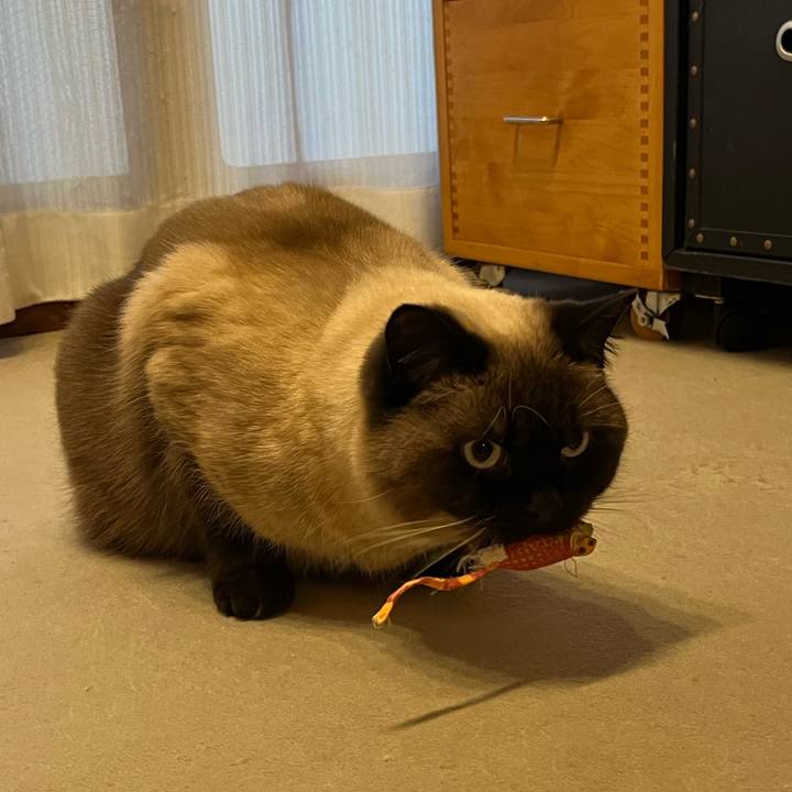 71750701 9661 44f1 a3e0 f85e7a214aad 1644655390322