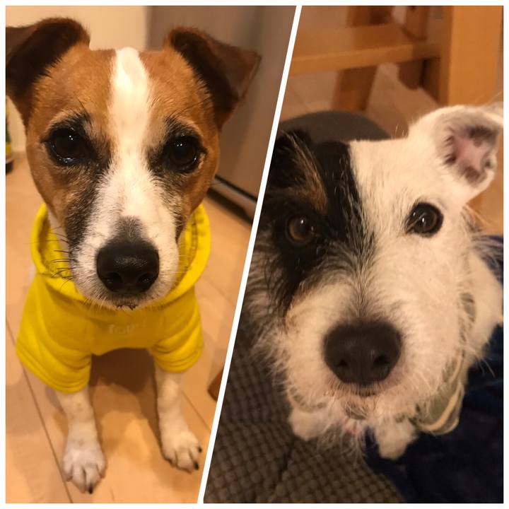 717533e1 e284 45ec b4e3 8ec1b581a2dc 1544607051961