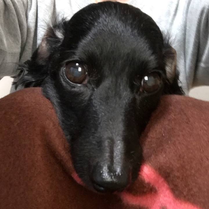 71756e07 c535 4703 a4d5 76f7b6893696 1509659890753