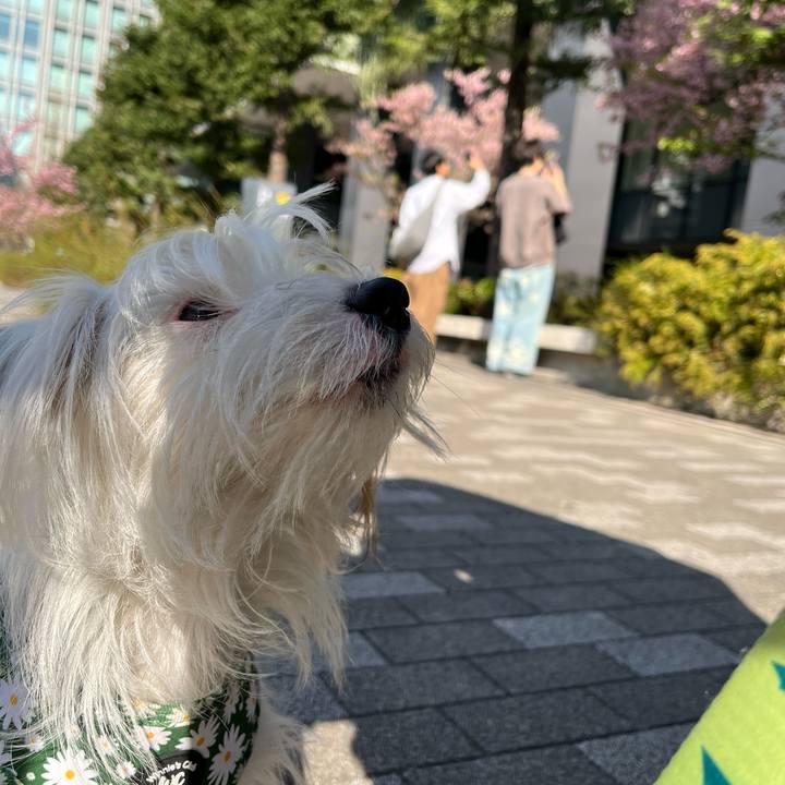 71759409 5057 4d16 9f98 0c44bffa5503 1740916476542