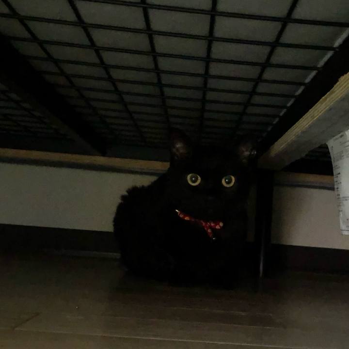 7175c138 51bd 453f 9d53 531c19a084c9 1625696158160