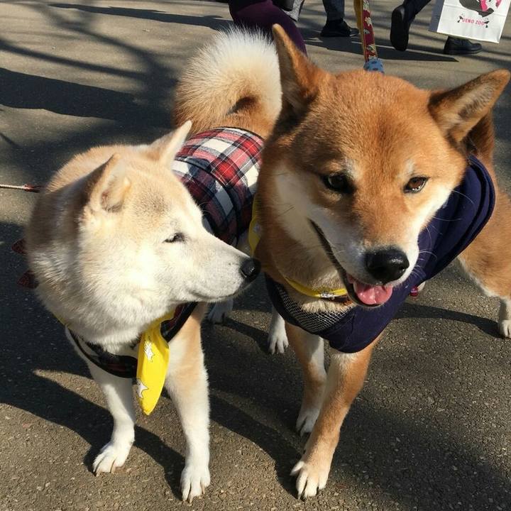 7175ca67 ea89 4dcf a9a4 693cd62f6a1d 1516516907417