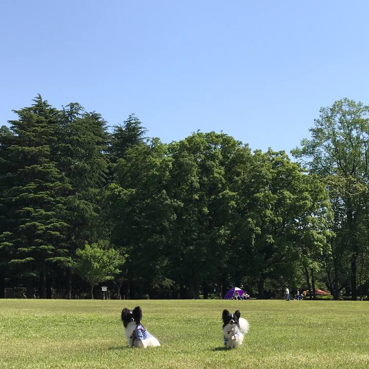 7175d16e 600f 479e bf4a cd6113eea304 1525485613583