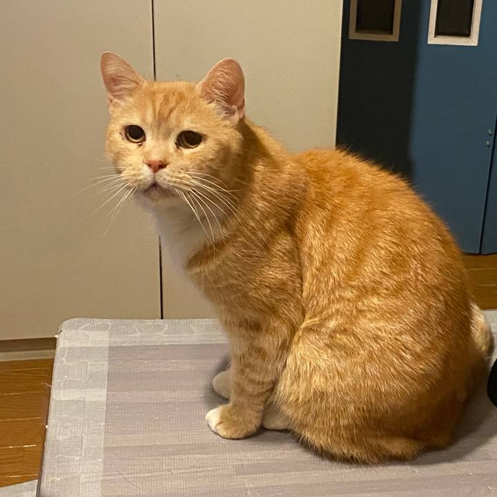 7175d8e1 b45a 4f74 ab63 7bc20b7c0a1c 1620038980358