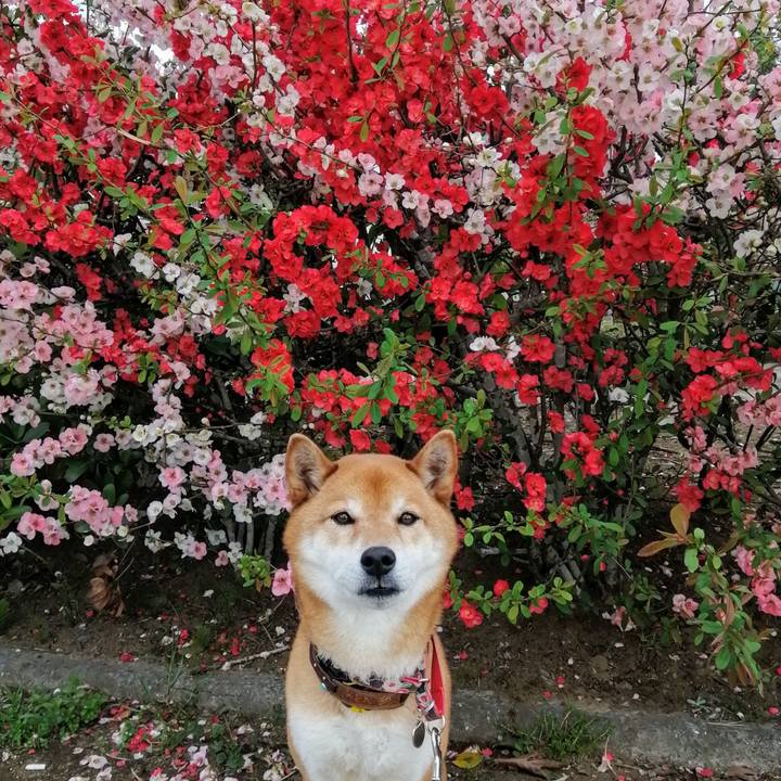 7175fba5 516b 4f45 a10e 8daff5d870f3 1616740161536