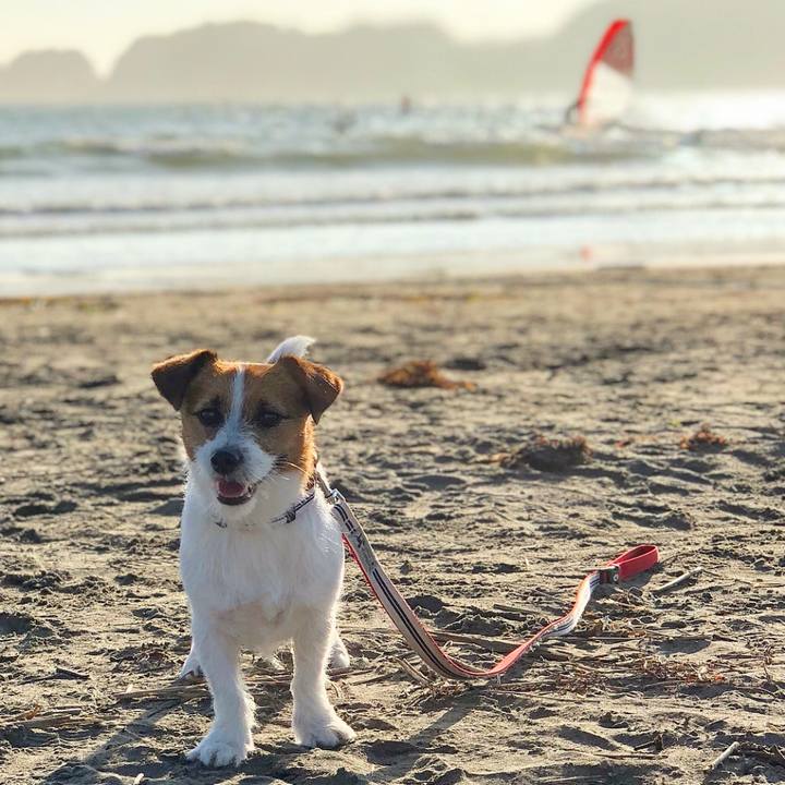 7176526e 10ea 4b34 9818 50c2fb547409 1530452492667