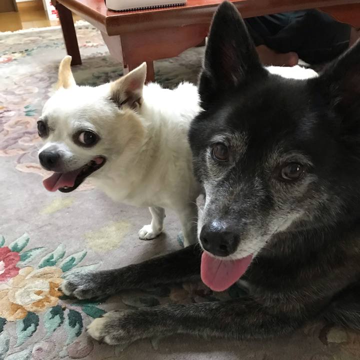 7176556a f70a 43f7 a2db 8f95102ebcab 1569991365567