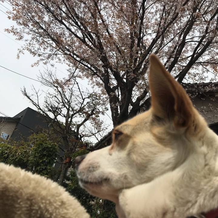 717678fc fbb0 46f1 8f6e 344aee32606a 1584845699725