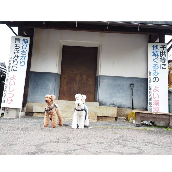 717695fd 342d 492c 8f7c 0c91d20c2504 1538573921428