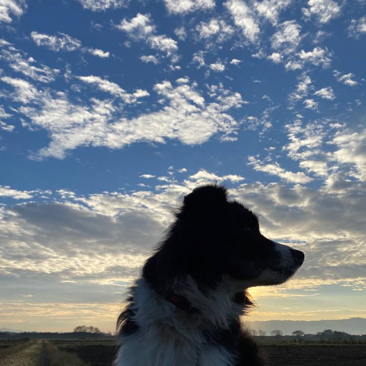 7176a207 2f04 44d9 8332 5bba32ed6487 1606174082537