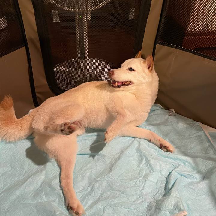 7176f8e9 8341 4700 8e9d 9e834d8be158 1654878281813