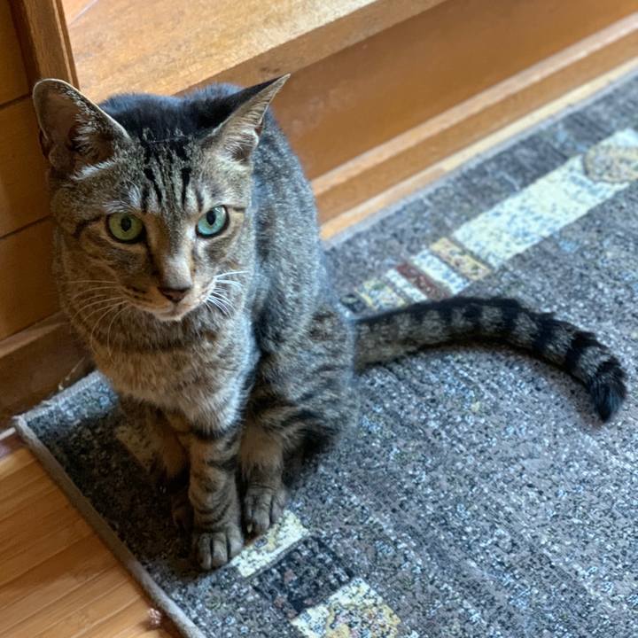 7176fbcd 8642 4d98 8039 4af1786fd4cc 1591148138716