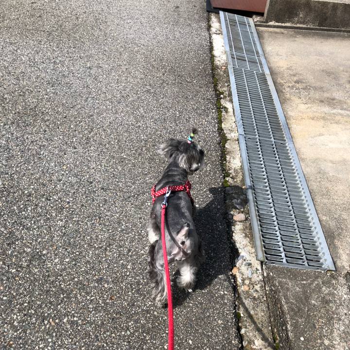 71770676 fbb6 4271 b551 bea7ef301afc 1538976386812