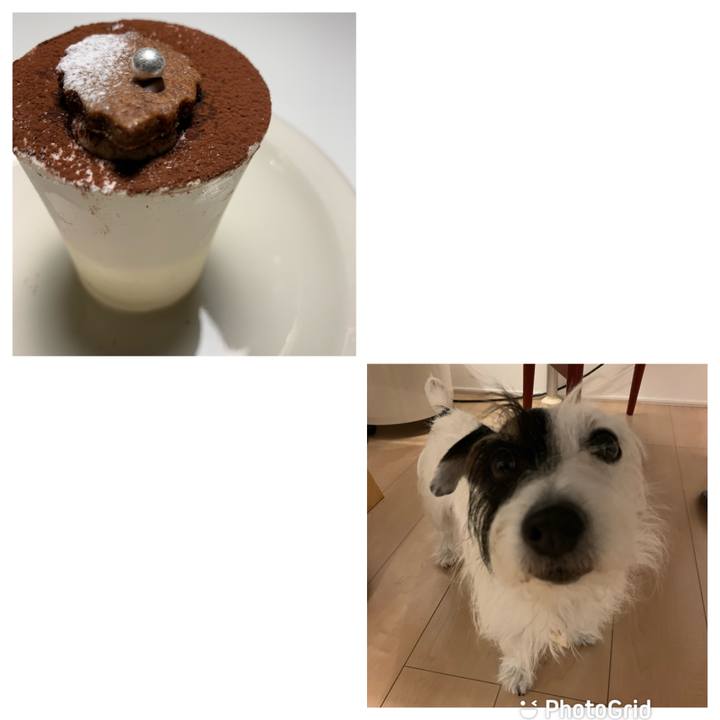 71770820 158d 409d ab58 a7e56f1f231d 1637320904615